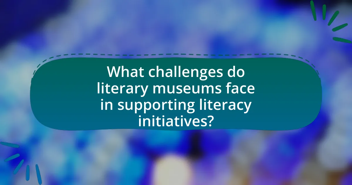 What challenges do literary museums face in supporting literacy initiatives?