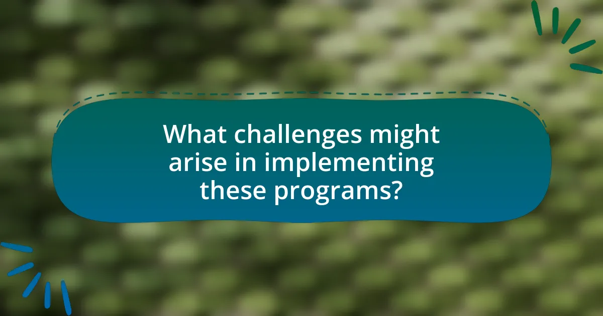 What challenges might arise in implementing these programs?
